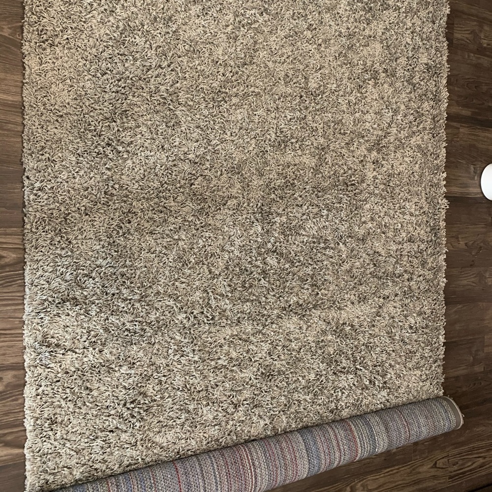 Grey Area Rug - Picture 1 of 2